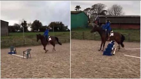 Even a tiny obstacle is too big for this horse!