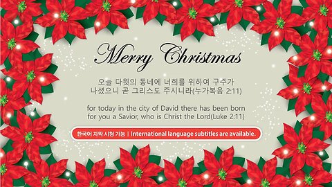 Merry Christmas & Happy New Year