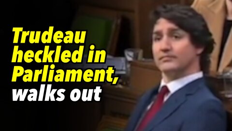 Trudeau heckled in Parliament, walks out
