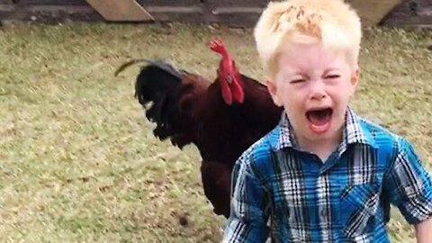 Chicken and child flight super best animals flight video funny