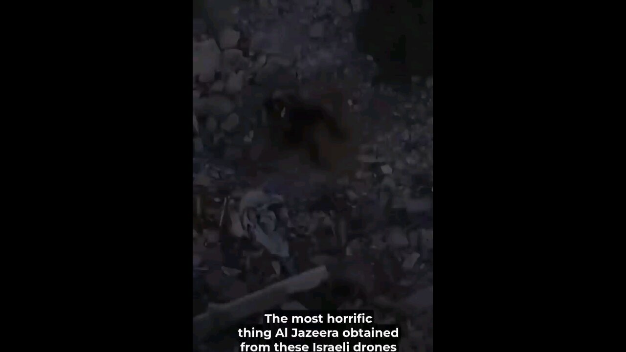 L'esercito più morale del mondo. Dio stramaledica israele.