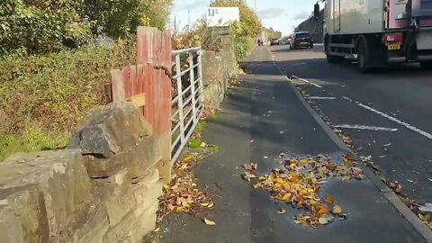Quick Walk