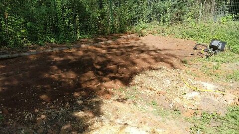 fall garden tear down and tilling
