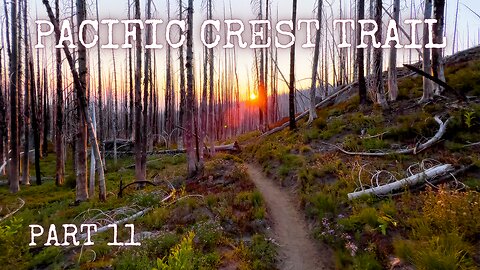 Smoky Skies, Trail Magic, and Personal Record: Solo PCT (Part 11)