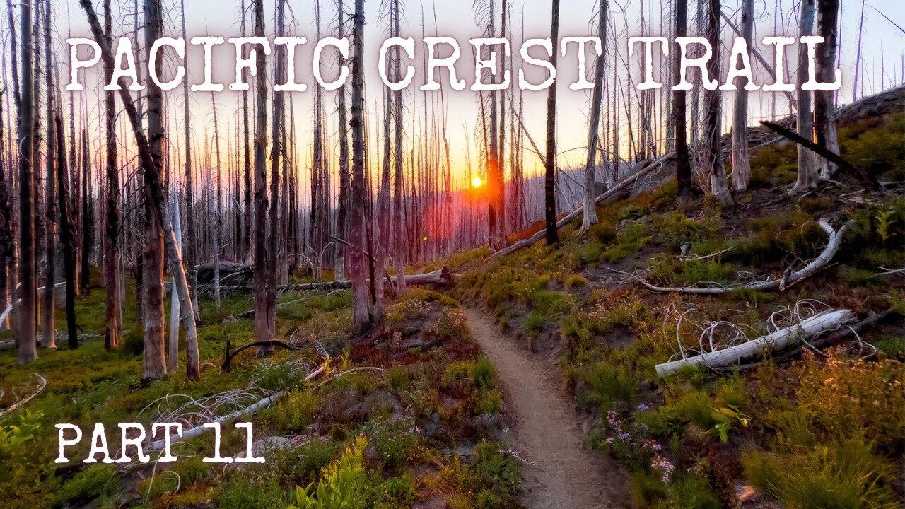 Smoky Skies, Trail Magic, and Personal Record: Solo PCT (Part 11)