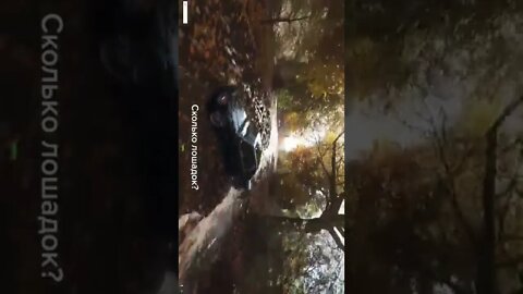 Forza Horizon 4 Mercedes what do you think how many horses