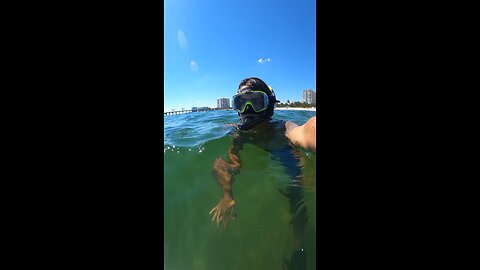 ✅🏝🏝 #rumble #short #vlog #florida