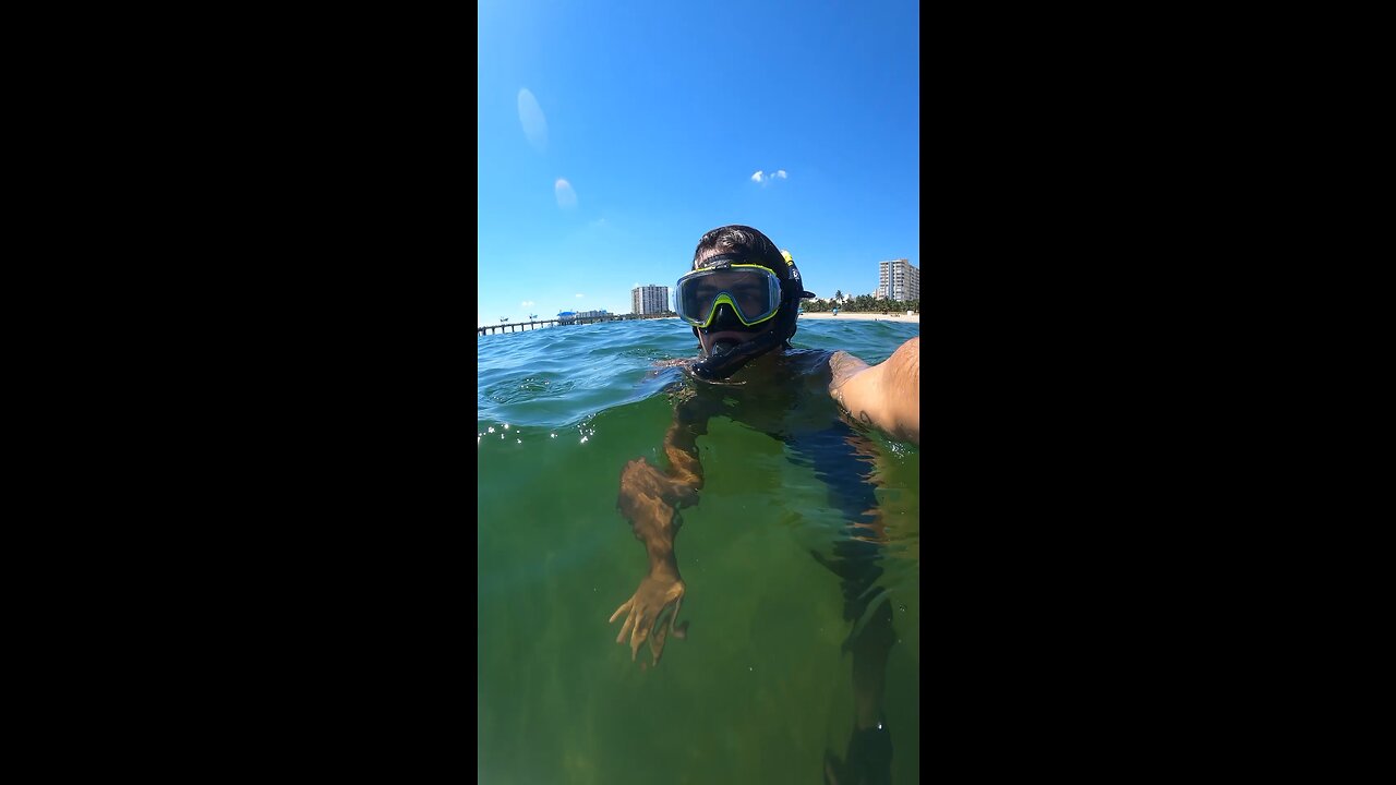 ✅🏝🏝 #rumble #short #vlog #florida