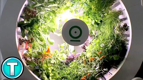 Ogarden | Indoor Garden System