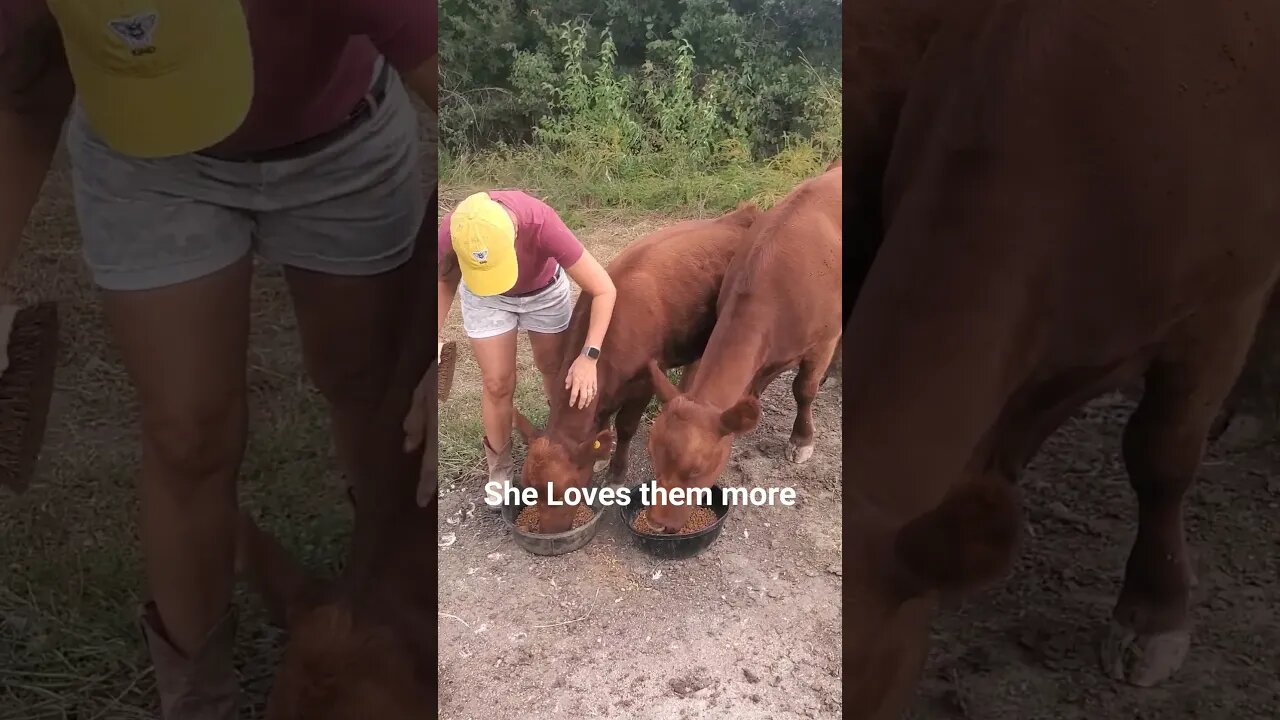 She loves them more than me