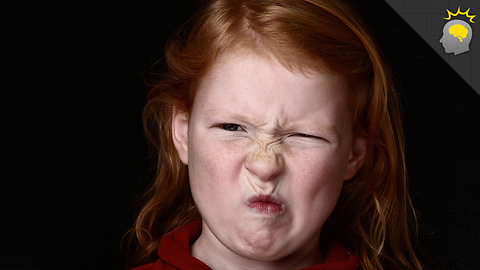 Stuff to Blow Your Mind: The Look of Disgust - Science on the Web