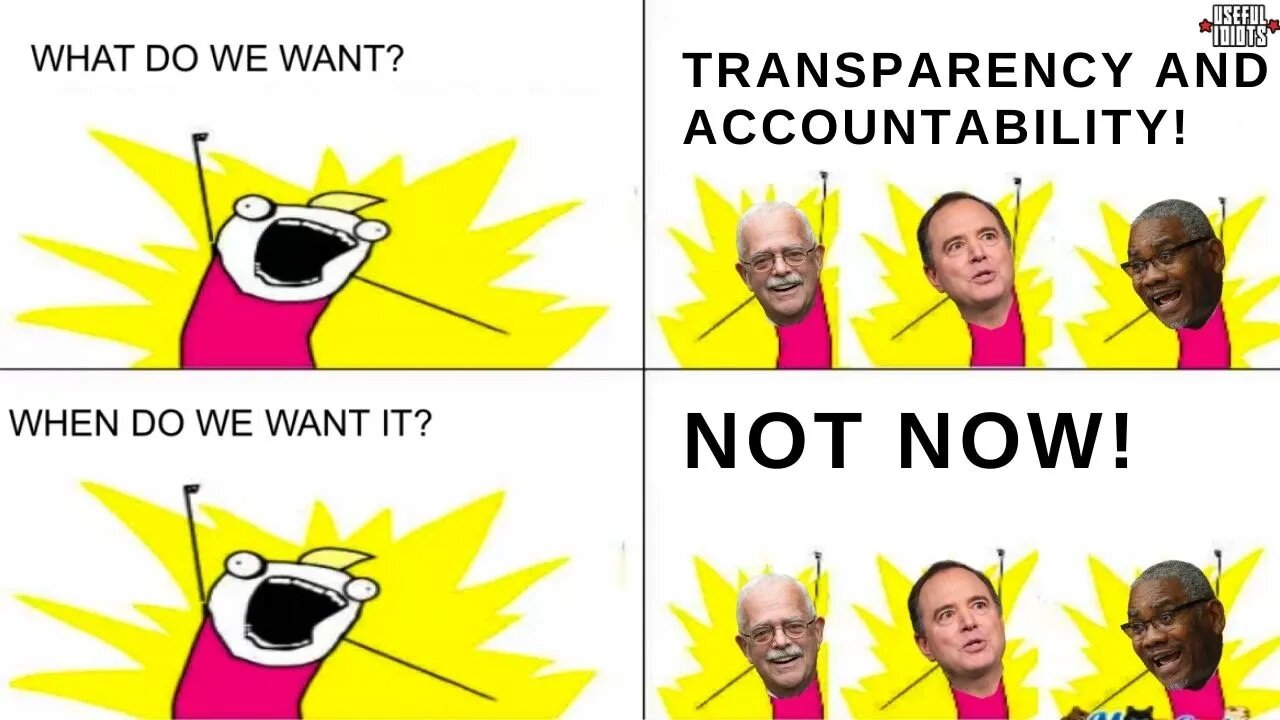 Dems Want Transparency and Accountability (Just not now)