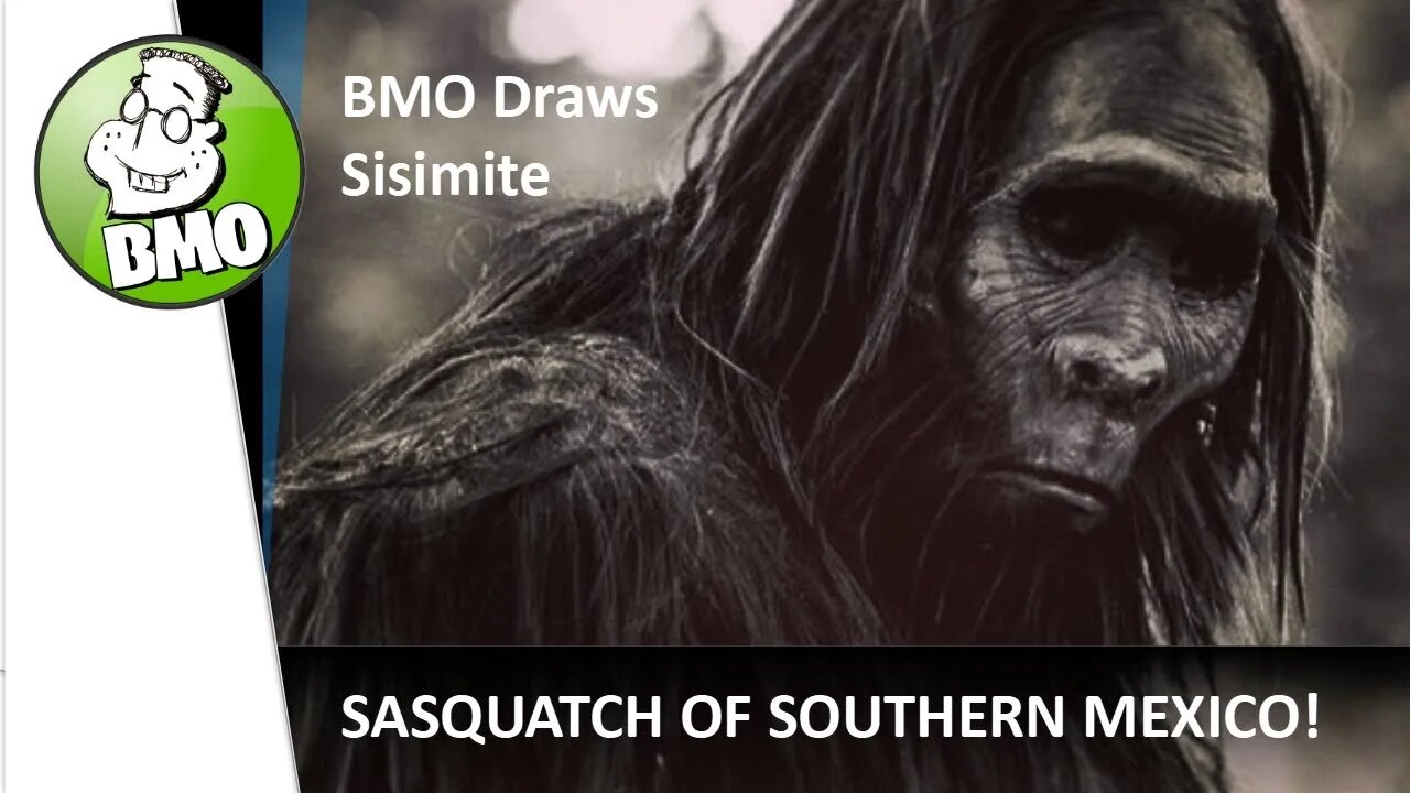 BMO Creative Crypto Video - The Sisimite