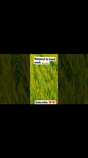 respect 🙏🙏 #youtubeshorts #shorts #youtube #shortvideo #shortyoutube