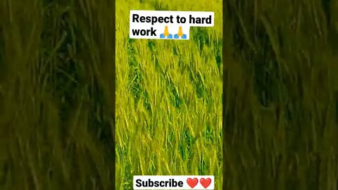 respect 🙏🙏 #youtubeshorts #shorts #youtube #shortvideo #shortyoutube