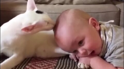 Funny Kids and Animals moments 😁😚😘😄 #funny #babies