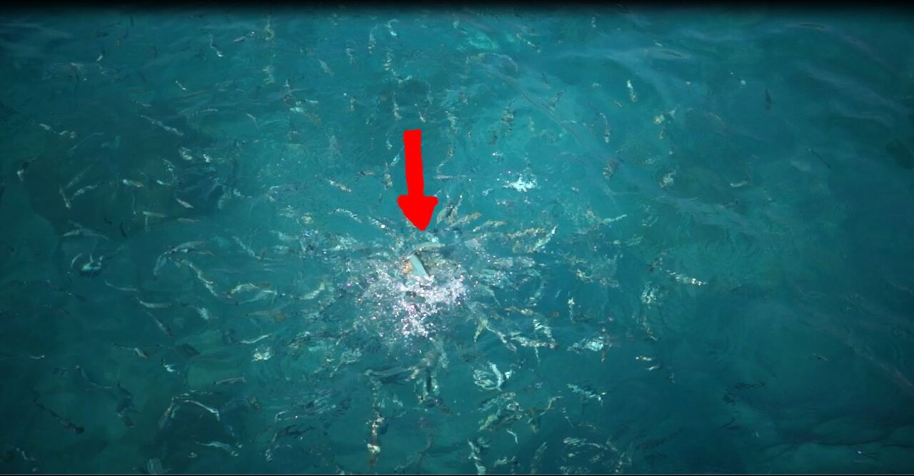 HUNGRY, VERY HUNGREY FISH!!! AMAZING FISH!!!!!!!!