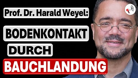 Die Altparteien verzweifeln an der Alternative für Deutschland | Prof. Dr. Harald Weyel im Interview