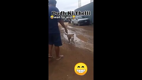 dudh ki thaili
