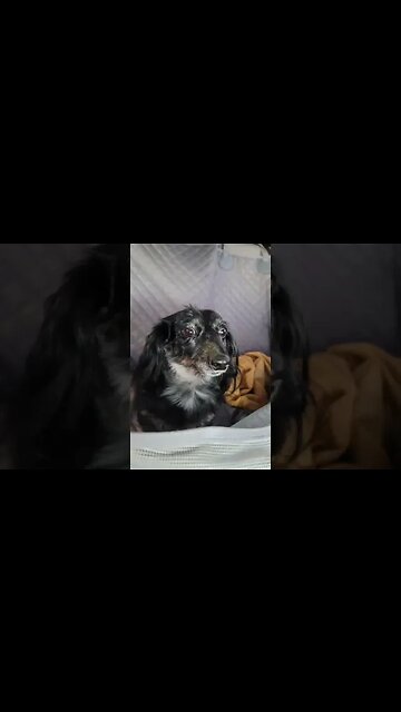 stare into the abyss #shorts