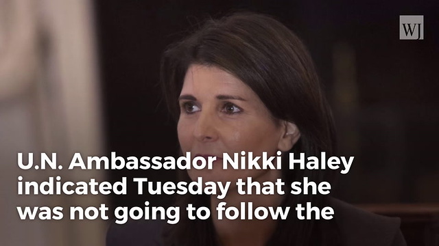 Palestinian Tries To Silence Nikki Haley... She Shuts Him Down In Front Of The Entire UN