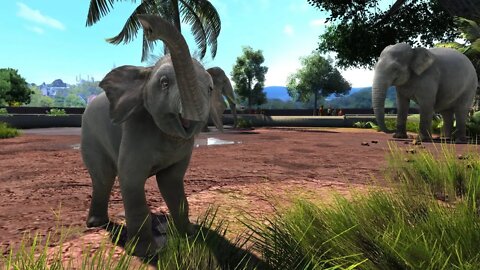 I Am A Beginner Zoo Tycoon Ultimate Animal Collection