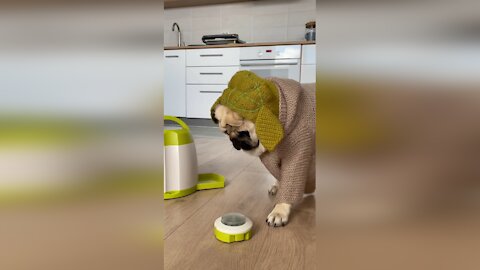 The house gnome is unhappy and grumbles