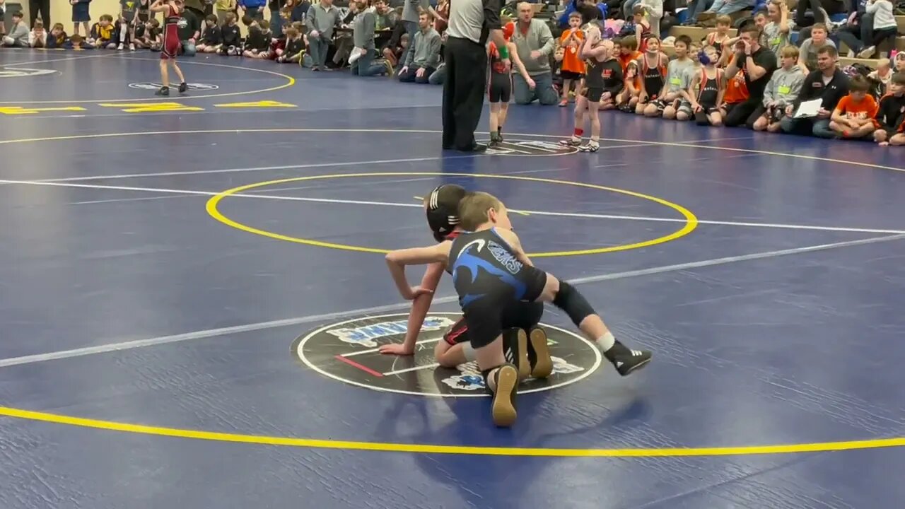 Charlie at the Brawl #4 2023