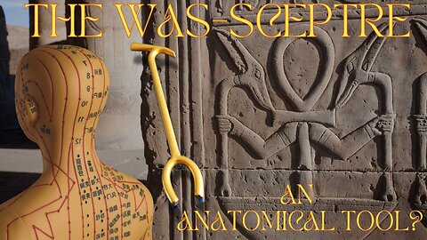 The Egyptian Was-sceptre - an anatomical tool for the enhancement of the human nervous system?