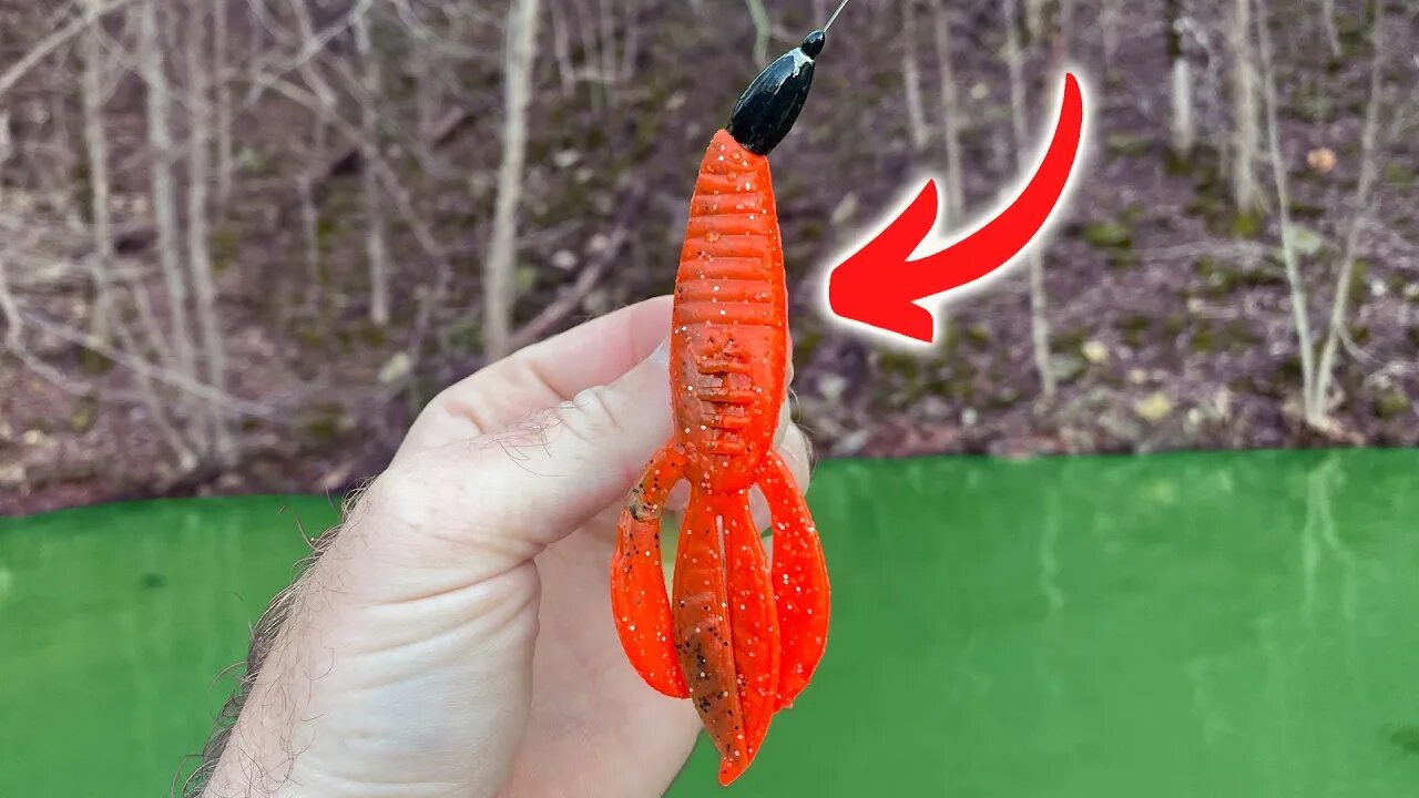 No One On Your Lake Is Trying This For Winter Bass