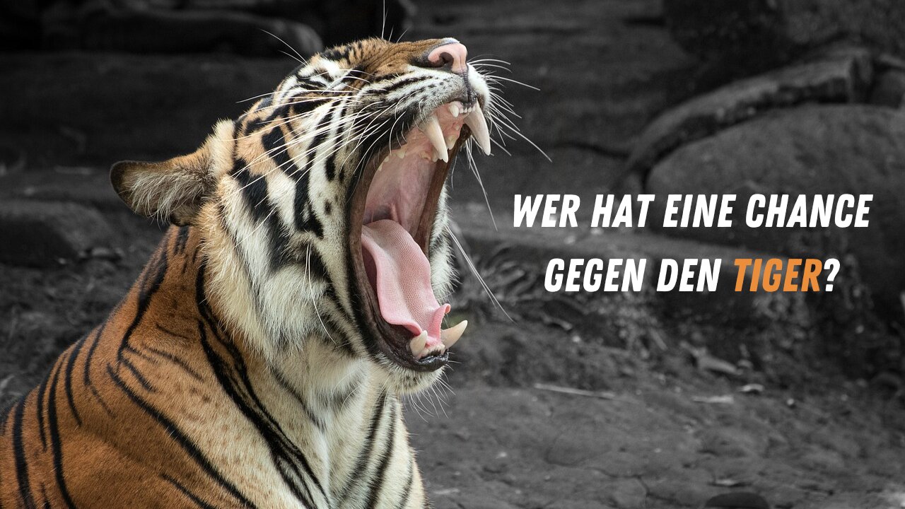 5 Tiere, die einen Tiger besiegen könnten