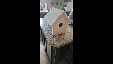 July 18th, 70º and foggy, Flynn sees hares