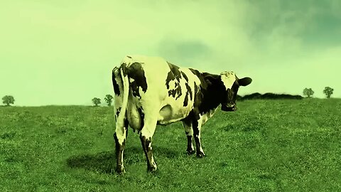 Pink Floyd - Atom Heart Mother Documentary (Inc.. Zabriskie Point and Ron Geesin's The Body)