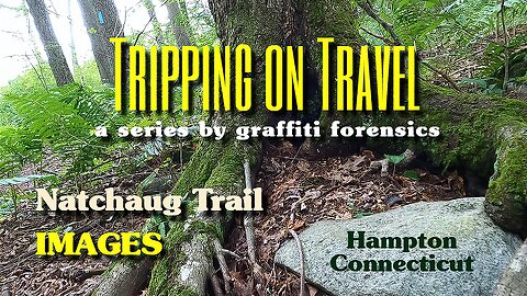 Tripping on Travel: Entering Natchaug Trail IMAGES, Hampton, CT