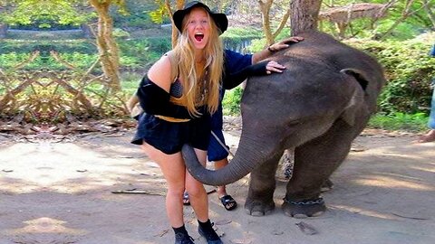 Funny Video Clips - 187 (Funny Animals)