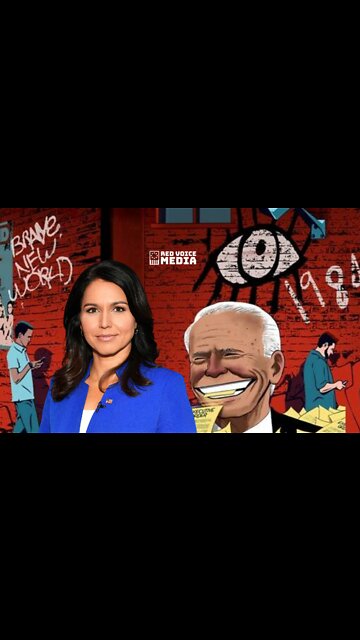 Tulsi Shares A Video Clip Of One Of Her Party's 'Elite' As Proof Behind New 'Ministry Of Truth'
