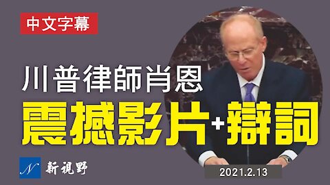 痛快淋漓！肖恩23分鐘的震撼影片，扒掉了豬黨彈劾川普總統的畫皮。Trump impeachment defense team - David Schoen