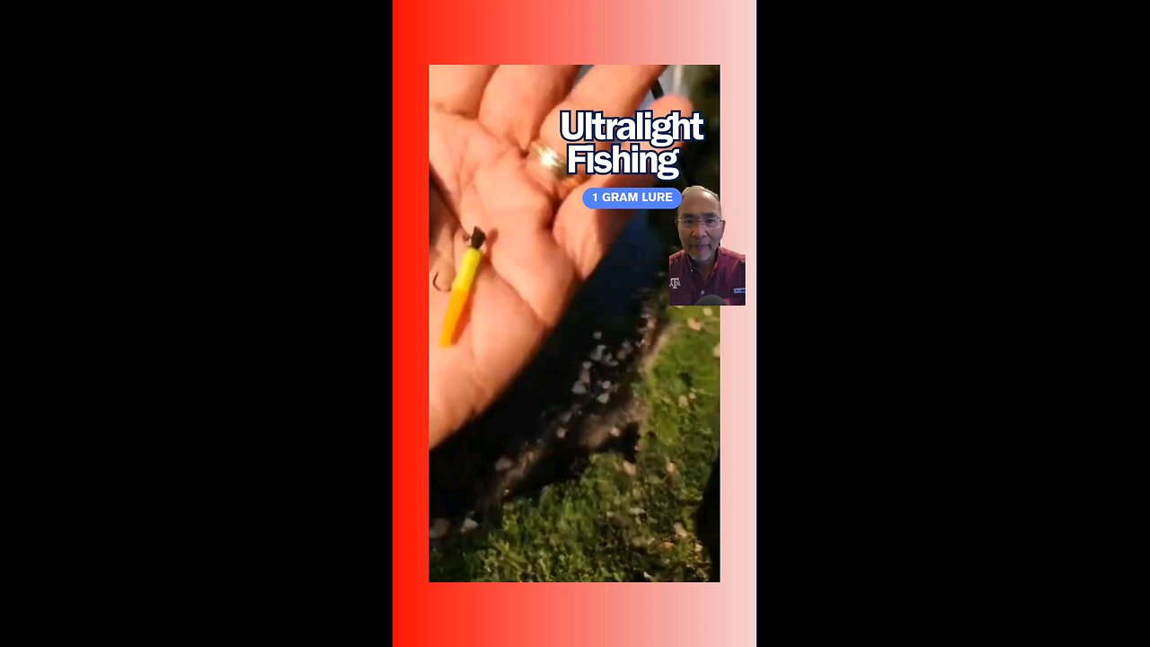 Ultralight Baitcasting with One Gram Lures Is Possible! ##fishing #ultralightfishing #bfs