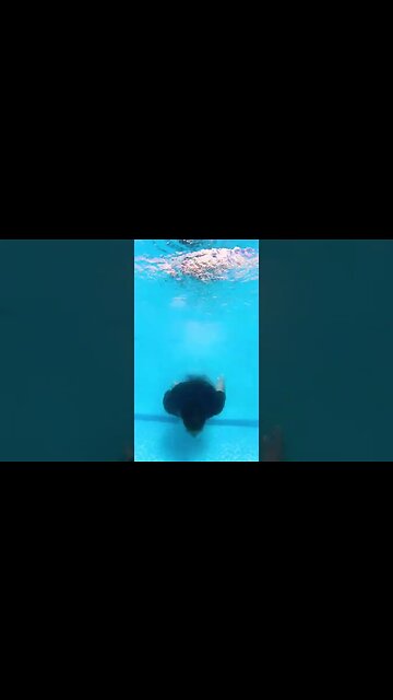 EPIC UNDERWATER TRANSITION 💦 #Shorts | Jeremy Lynch