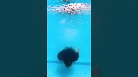 EPIC UNDERWATER TRANSITION 💦 #Shorts | Jeremy Lynch