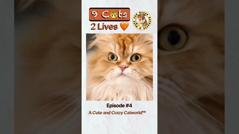 “We Gotta Get Him to a Hospital!” (#9C2L, Ep. 4) #Shorts