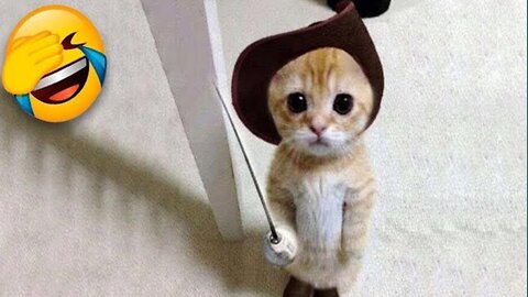 Funniest Cats and Dogs 🐶😻 - Funny Animal Videos