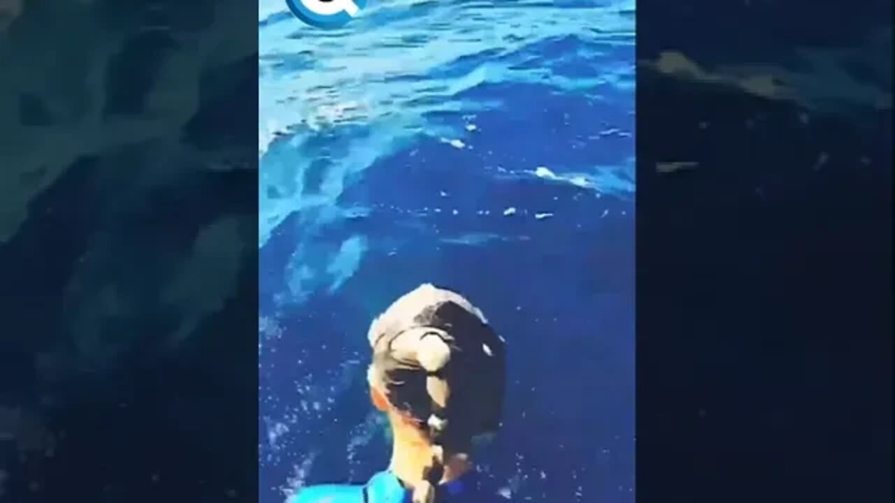 SALTANDO PARA A BOCA DE UM TUBARÃO TIGRE | Por juansharks and oceanramsey (ig) #tubarão