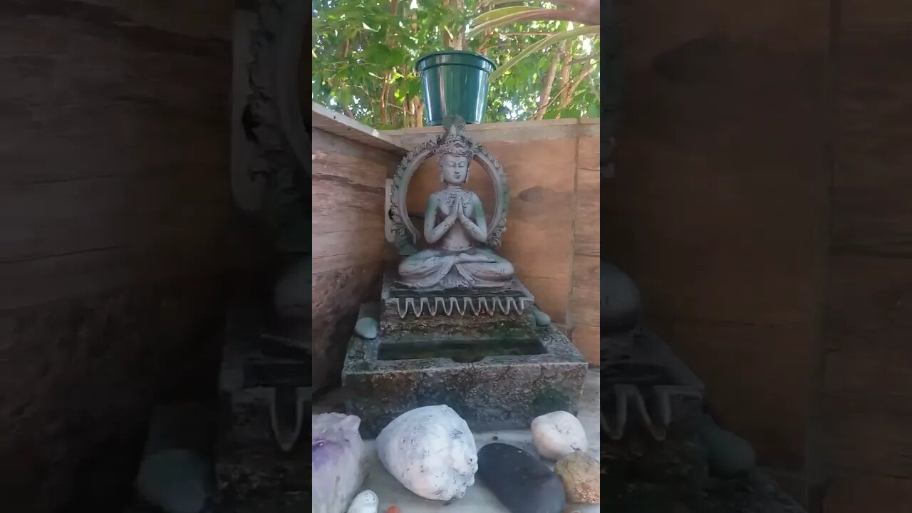 #sincronia #pingos #água.