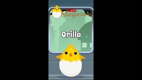 Pollito Margariteño T1 C2 Orilla