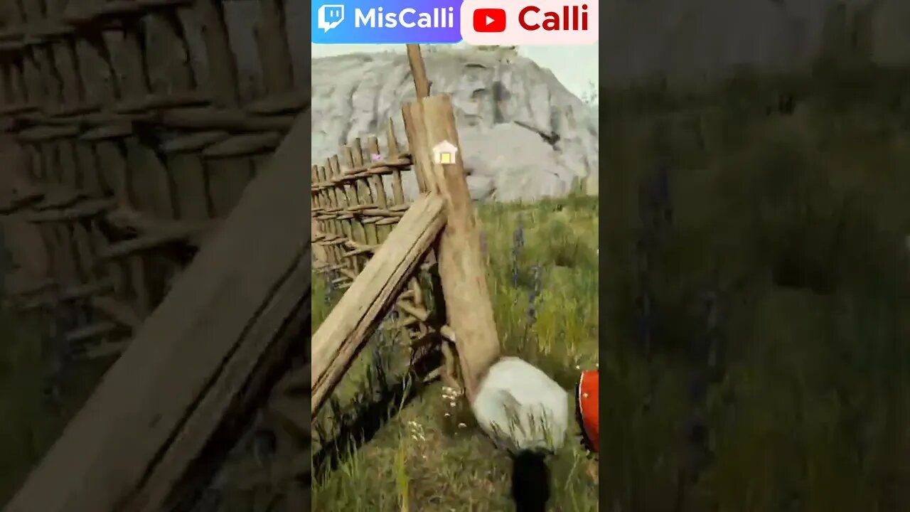 Bruh