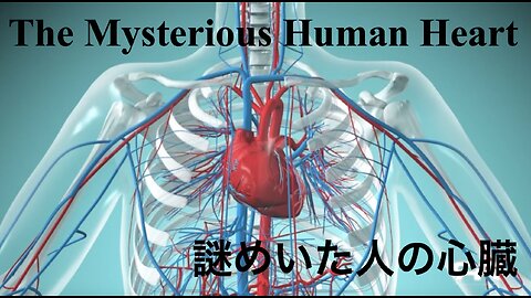 The Mysterious Human Heart ／ 謎めいた人の心臓