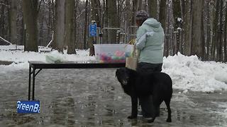 Easter Egg Hunt held for dogs
