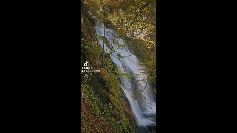 I love nature and you guy’s ?