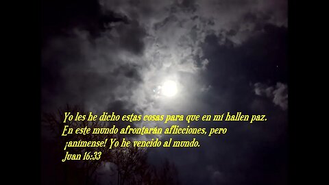 Versículo bíblico diario para hoy